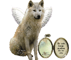 Loup 